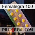 Femalegra 100 new11